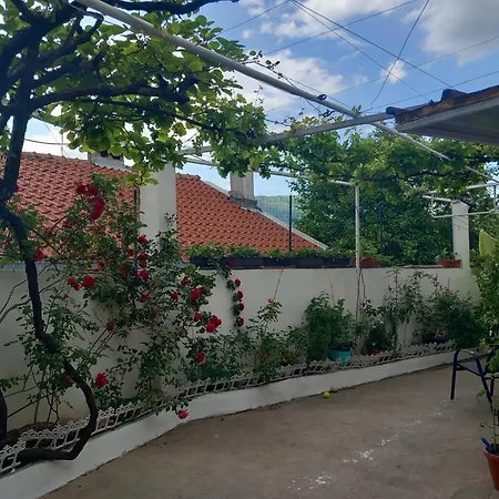 Dada ゲストハウス *