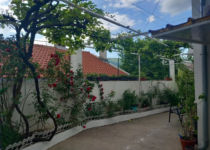 Dada Πανσιόν *